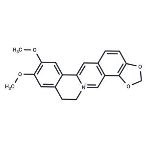 Epiberberine