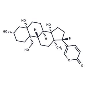 Hellebrigenol