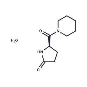 Fasoracetam monohydrate