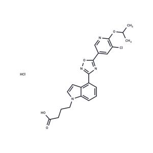 GSK2018682 HCl