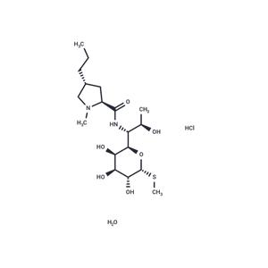 Lincomycin hydrochloride monohydrate