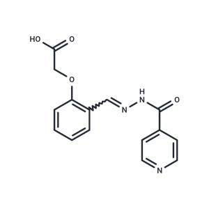 Aconiazide