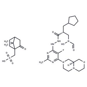 Lanopepden camsylate