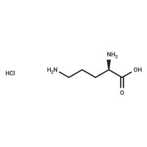 L-Ornithine hydrochloride