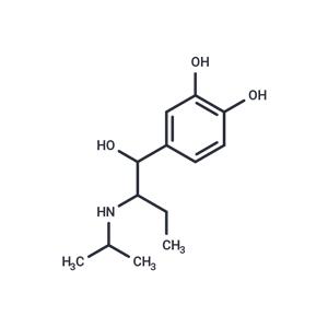 Isoetharine