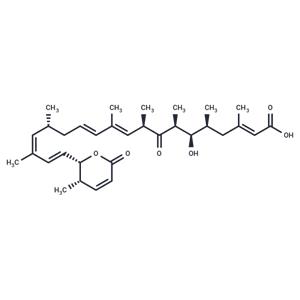 Leptomycin A