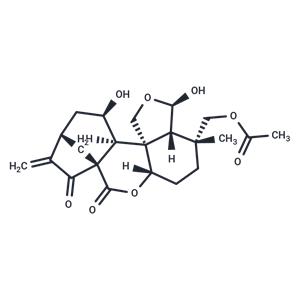 Carpalasionin