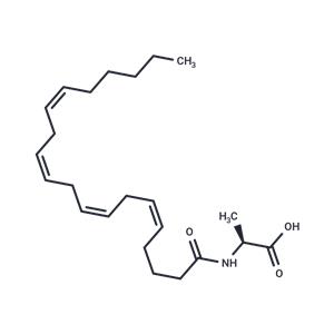 N-Arachidonoyl-L-Alanine