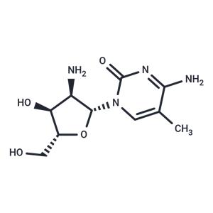 2’-Amino-2’-deoxy-5-methylcytidine