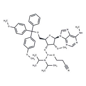 5'-O-DMTr-2'-O-methyl-N6-methyl adenosine 3'-CED phosphoramidite