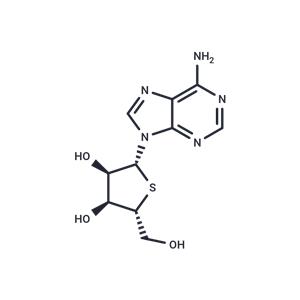 4’-Thioadenosine