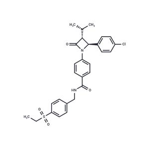 RORγt modulator 2