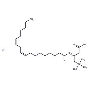 Linoleoyl-L-carnitine (chloride)