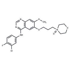 Gefitinib N-oxide