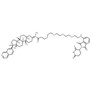 JH-XI-10-02