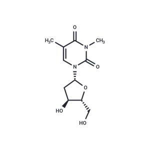 N3-Methylthymidine