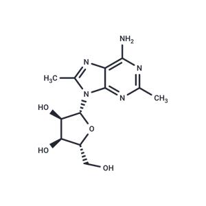 2,8-Dimethyladenosine