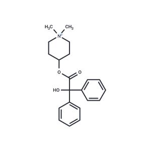 Parapenzolate Free Base