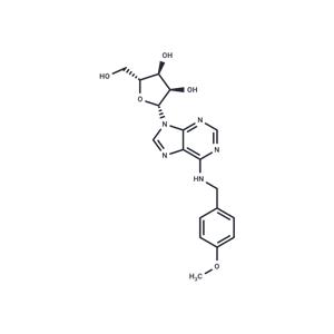 N6-(p-Methoxybenzyl)adenosine