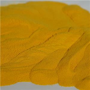 Ginkgo biloba extract