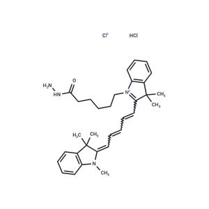 Cy 5 hydrazide