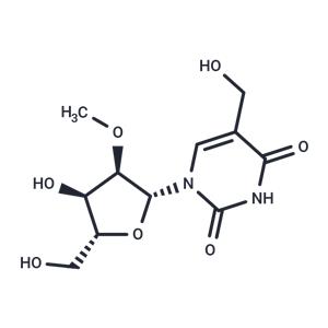 2’-O-Methyl-5-hydroxymethyluridine