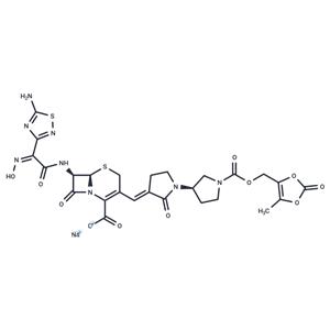 Ceftobiprole medocaril sodium