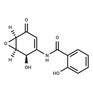 (+)-DHMEQ