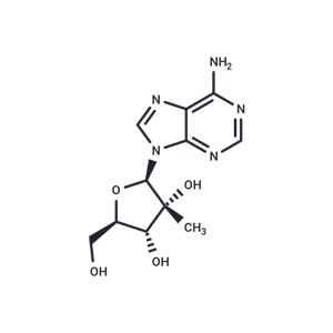 2'-C-Methyladenosine