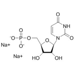 Uridine 5’-monophosphate disodium salt（UMP-Na2）