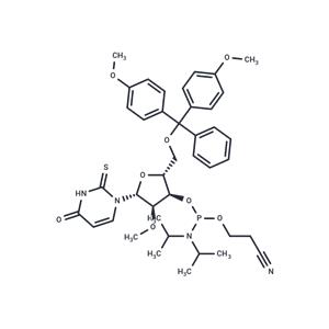 2’-O-Me-2-thio-U-3’-phos phoramidite