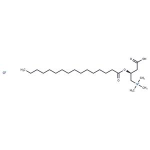 Palmitoyl-D-carnitine (chloride)