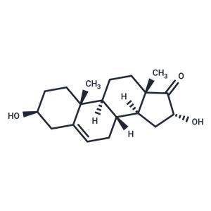 16α-hydroxy Dehydroepiandrosterone