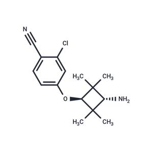 AR antagonist 1