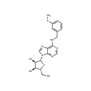 N6-(m-Methoxybenzyl)adenosine