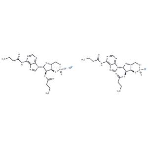 Bucladesine calcium