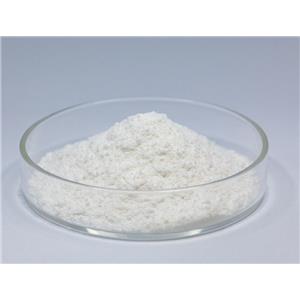 MONO-METHYL SUCCINATE