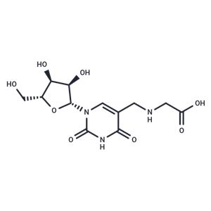 Uridine-5-methylamino ? acetic acid