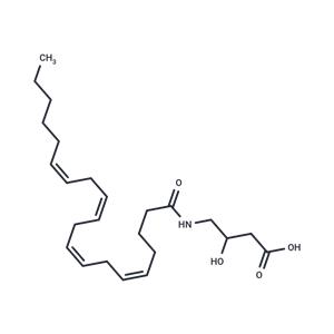 N-Arachidonoyl-3-hydroxy-γ-Aminobutyric Acid