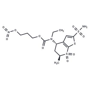 NCX-278