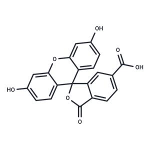 6-FAM