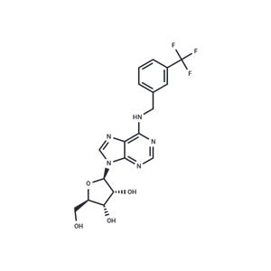 Antiviral agent 24