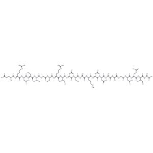 Flagelin 22