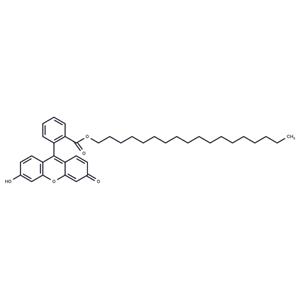 Fluorescein octadecyl ester