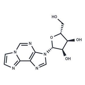 1,N6-Ethenoadenosine