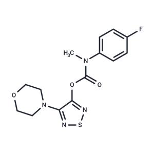 JZP-MA-13