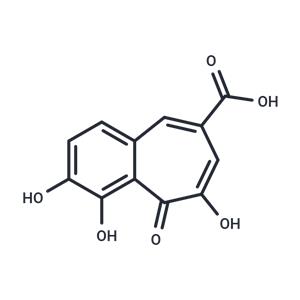 SHP2-IN-5