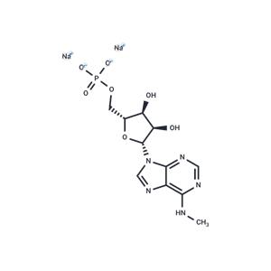 N6-Methyladenosine 5'-monophosphate disodium salt