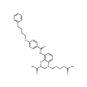 ONO-2050297