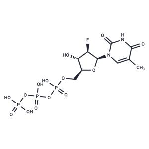 Clevudine triphosphate